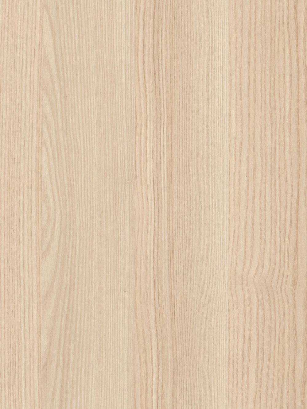  cabinet door with H1298 Sand Lyon Ash textured laminate